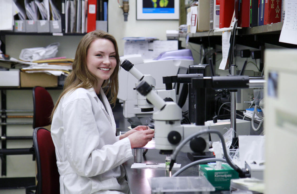 bachelor of neuroscience bachelor of neuroscience