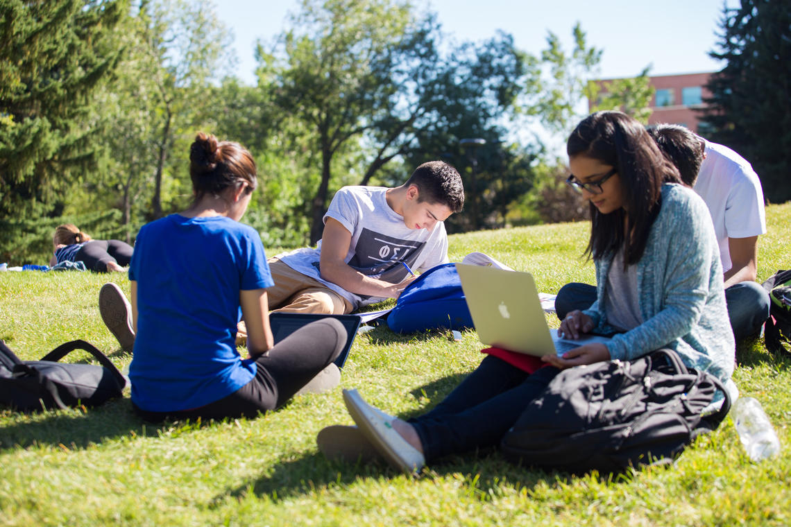 summer students summer students