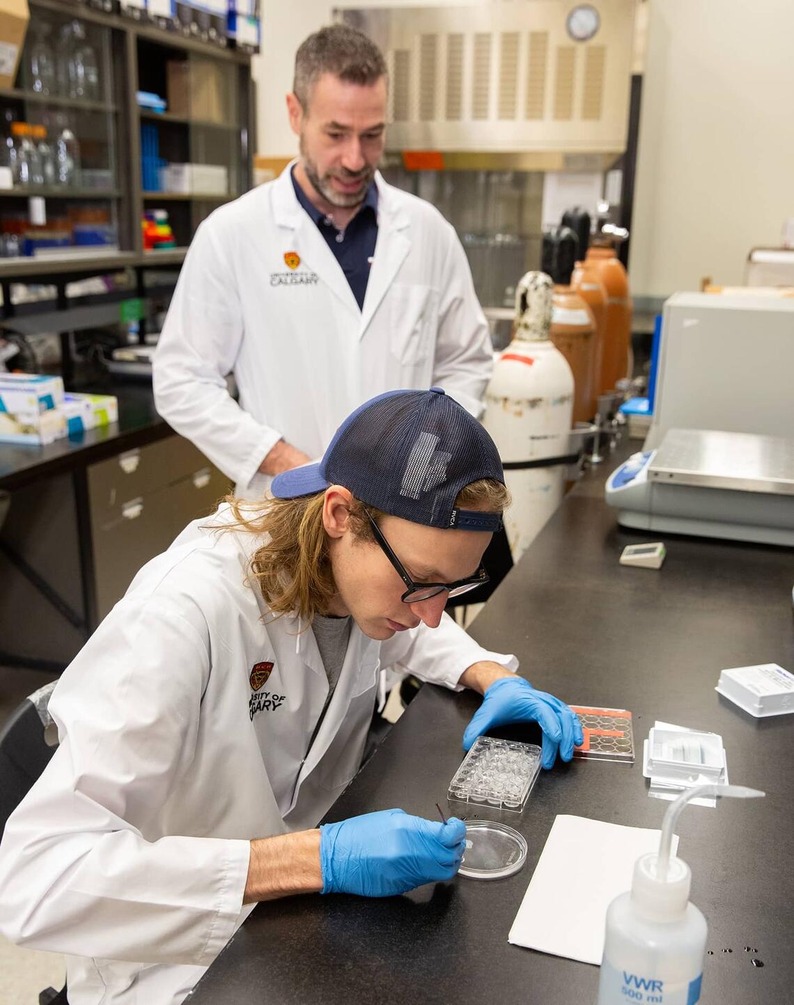 Graduate student Robert Aukema is in the lab, placing thin slices of rat brain on a Petri dish, while Dr. Matthew Hill stands behind supervising.